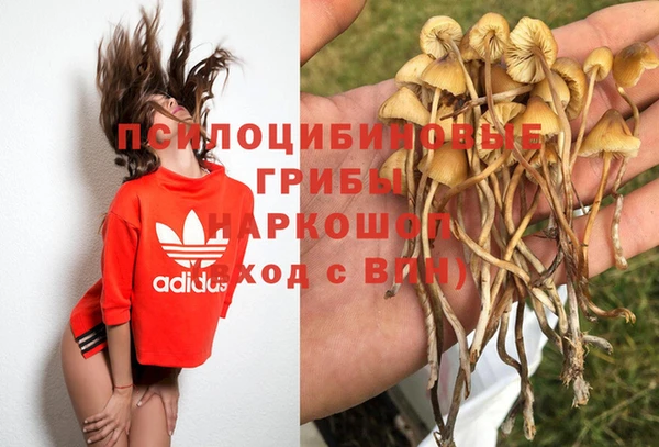 соль курить ск Алексеевка