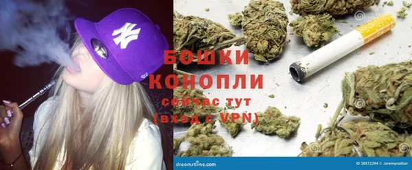 прущие крисы Алзамай
