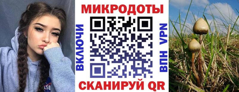 Псилоцибиновые грибы прущие грибы  Мирный 